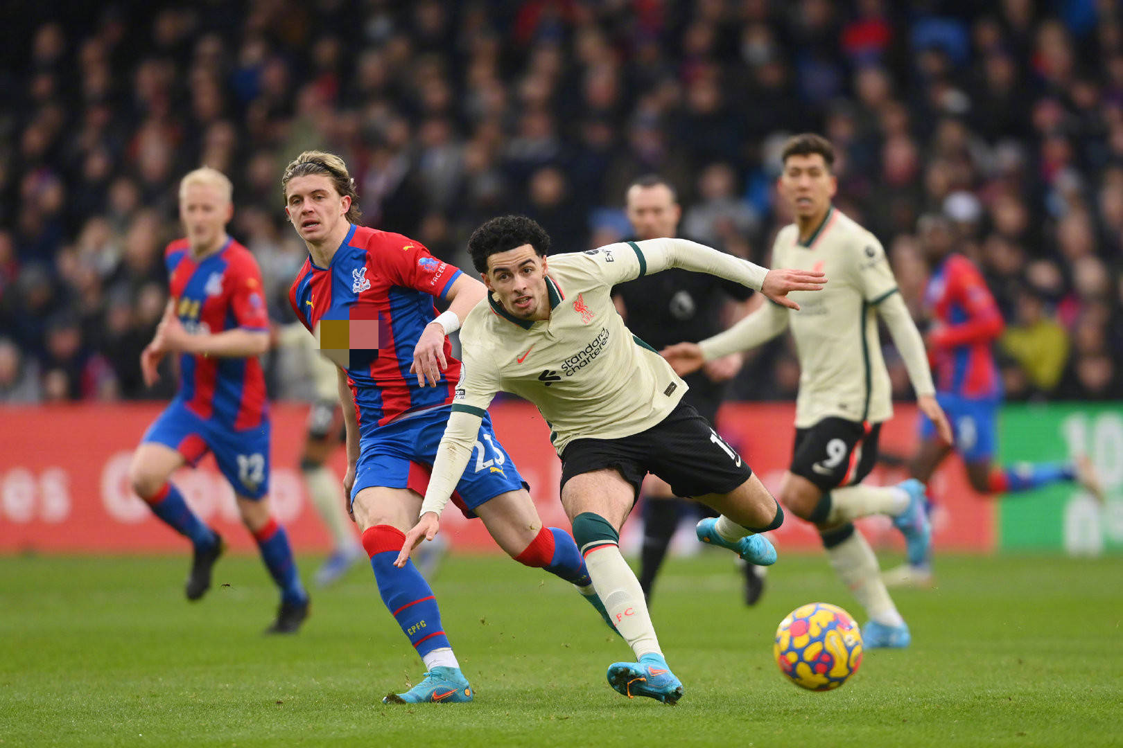 找到适合自 找到适合自